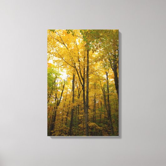 Herbstfarbe, Michigan Leinwanddruck (Vorderseite)