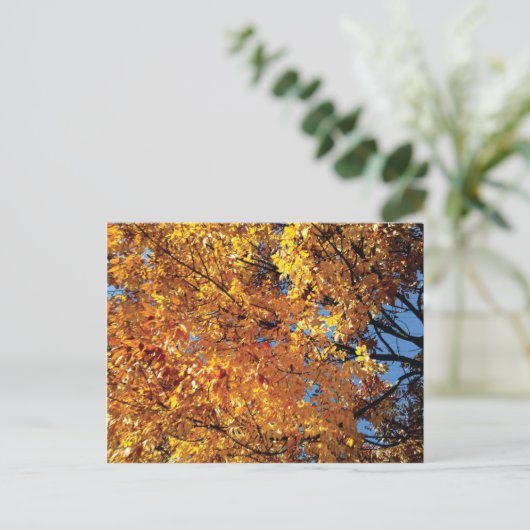Herbstfarbe Postkarte (Stehend Vorderseite)