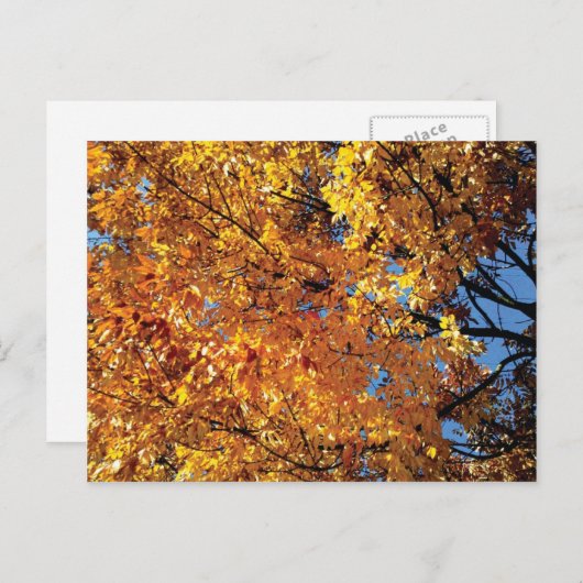 Herbstfarbe Postkarte (Vorne/Hinten)