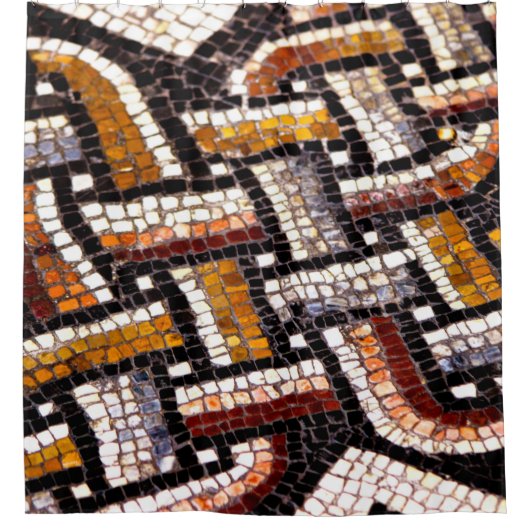 Herbstfarbe römisches Mosaik Duschvorhang (Vorderseite)