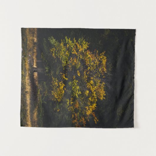 Herbstfarbe Wandteppich (Vorderseite (Horizontal))