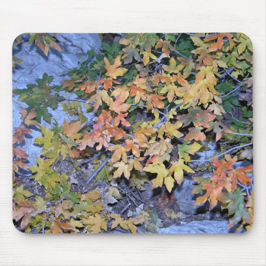 Herbstfarben 1 mousepad (Vorne)