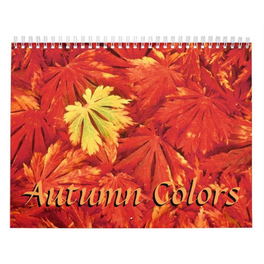 Herbstfarben 2018 kalender (Titelbild)