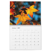 Herbstfarben 2 Kalender (Jan 2027)