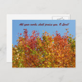 Herbstfarben 4 postkarte (Vorne/Hinten)