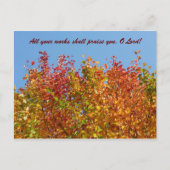 Herbstfarben 4 postkarte (Vorderseite)