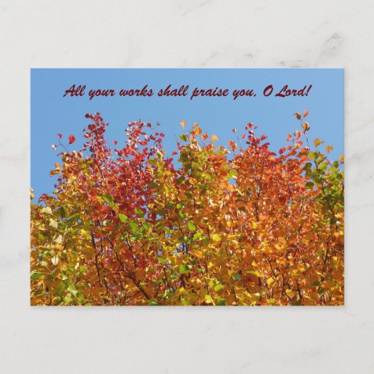 Herbstfarben 4 postkarte (Vorderseite)