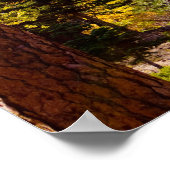 Herbstfarben 6 Poster (Ecke)