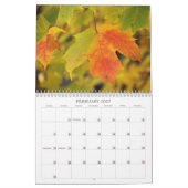 Herbstfarben Adirondack 12-Monats-Kalender Kalender (Feb 2027)