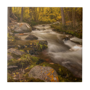 Herbstfarben am Crestone Creek Fliese
