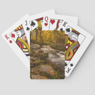 Herbstfarben am Crestone Creek Spielkarten