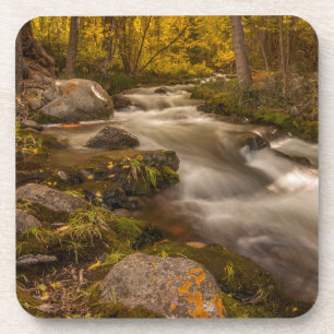 Herbstfarben am Crestone Creek Untersetzer