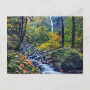 Herbstfarben am Rande der Sternenflotte Falls 2 Postkarte