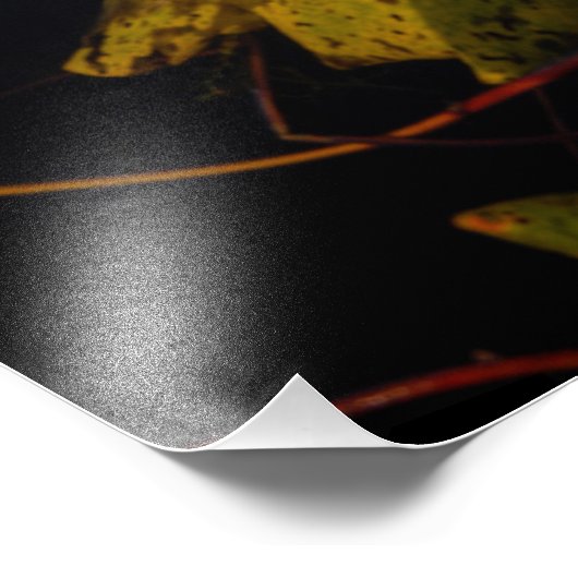 Herbstfarben am See Fotodruck (Ecke)