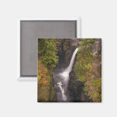 Herbstfarben an den Elchfällen Magnet (Vorderseite/Rückseite)