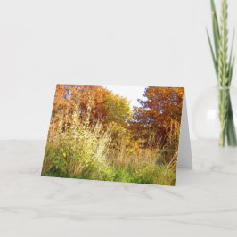 Herbstfarben an der Charter Oak Park, Peoria, IL Karte