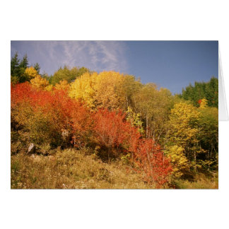 Herbstfarben an Mt.-Haube