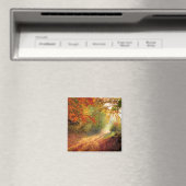 Herbstfarben ändern magnet (In Situ (Geschirrspüler))