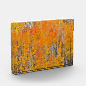Herbstfarben auf Aspen Groves Fotoblock (Links)