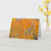 Herbstfarben auf Aspen Groves Karte (Gelbe Blume)