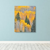 Herbstfarben auf Aspen Groves Leinwanddruck (Insitu (Holzboden))