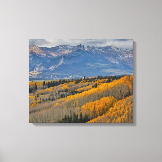 Herbstfarben auf Aspen Groves Leinwanddruck (Vorderseite)