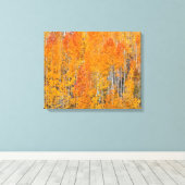 Herbstfarben auf Aspen Groves Leinwanddruck (Insitu (Holzboden))