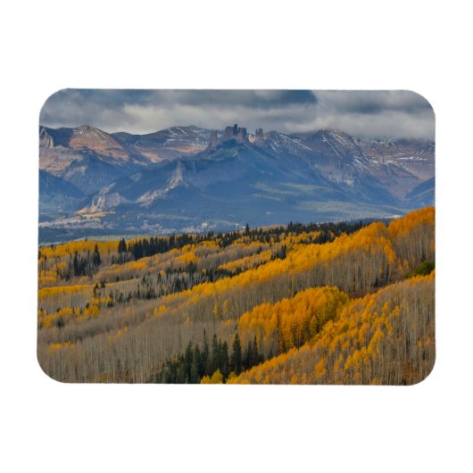 Herbstfarben auf Aspen Groves Magnet (Horizontal)