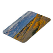 Herbstfarben auf Aspen Groves Magnet (Linke Seite)