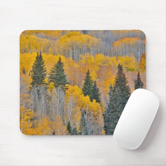 Herbstfarben auf Aspen Groves Mousepad (Mit Mouse)
