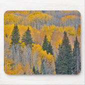Herbstfarben auf Aspen Groves Mousepad (Vorne)
