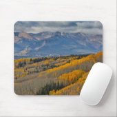 Herbstfarben auf Aspen Groves Mousepad (Mit Mouse)