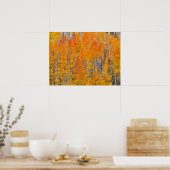 Herbstfarben auf Aspen Groves Poster (Küche)