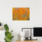 Herbstfarben auf Aspen Groves Poster (Heimbüro)