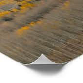 Herbstfarben auf Aspen Groves Poster (Ecke)