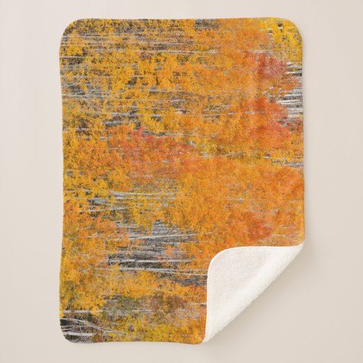 Herbstfarben auf Aspen Groves Sherpadecke (Vorderseite)