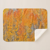 Herbstfarben auf Aspen Groves Sherpadecke (Vorderseite (Horizontal))