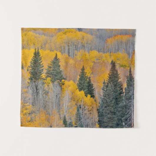 Herbstfarben auf Aspen Groves Wandteppich (Vorderseite (Horizontal))