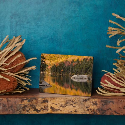 Herbstfarben auf dem Biberteich Fotoplatte (Seite)