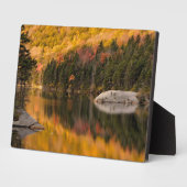 Herbstfarben auf dem Biberteich Fotoplatte (Seite)