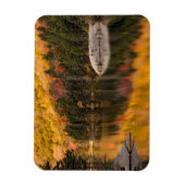 Herbstfarben auf dem Biberteich Magnet (Vertikal)