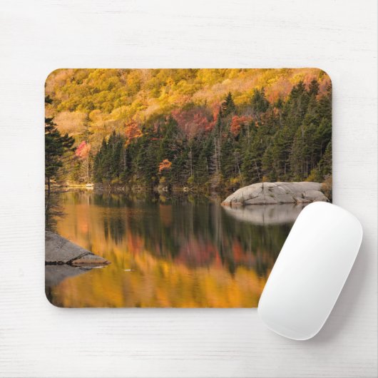 Herbstfarben auf dem Biberteich Mousepad (Mit Mouse)