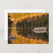 Herbstfarben auf dem Biberteich Postkarte (Vorne/Hinten)