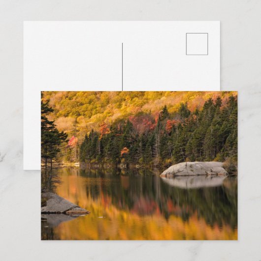 Herbstfarben auf dem Biberteich Postkarte (Vorne/Hinten)