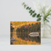Herbstfarben auf dem Biberteich Postkarte (Stehend Vorderseite)
