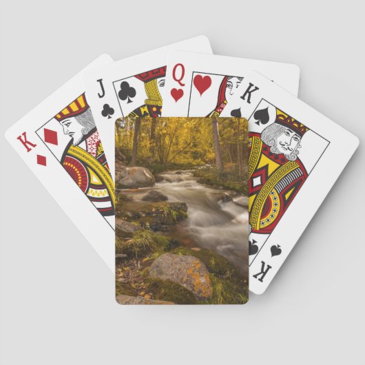 Herbstfarben auf der Cresteincreme Spielkarten (Rückseite)