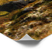 Herbstfarben auf der Landschaft Poster (Ecke)