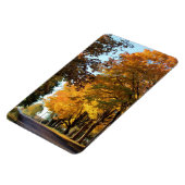 Herbstfarben auf der Landstraße Magnet (Linke Seite)