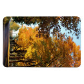 Herbstfarben auf der Landstraße Magnet (Horizontal)