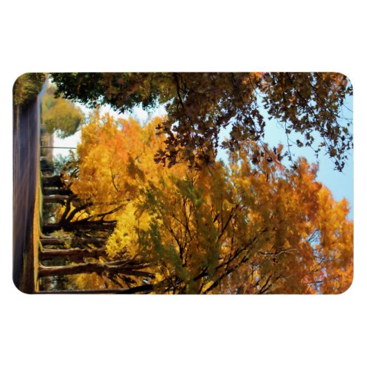 Herbstfarben auf der Landstraße Magnet (Horizontal)